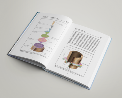 Curly Hair Book - By Dr. Ali Syed